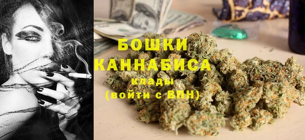 дживик Надым