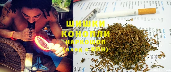 винт Абаза
