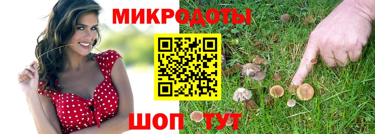 Псилоцибиновые грибы MAGIC MUSHROOMS Оренбург